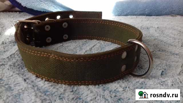 Ошейник Магадан - изображение 1