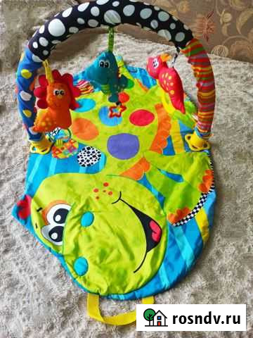 Развивающий коврик Оренбург - изображение 1