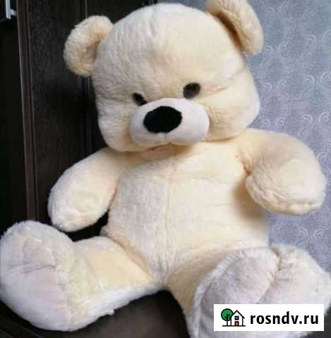 Медведь большой Новосибирск - изображение 1