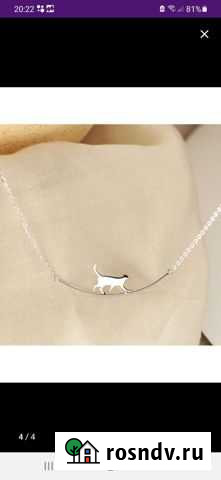 Серебряная цепь Волгоград - изображение 1