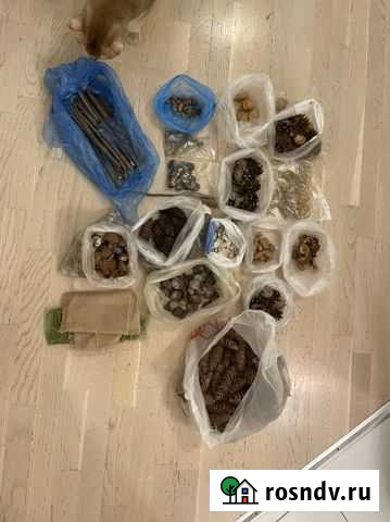 Природный материал для поделок Москва - изображение 1