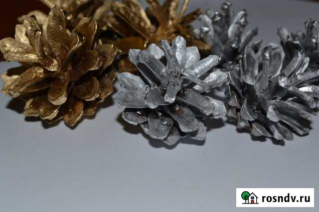 Окрашенные шишки сосновые Чита - изображение 1