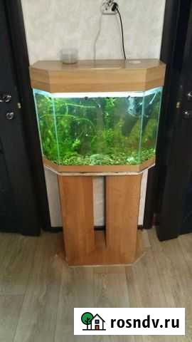 Аквариум Волгоград - изображение 1