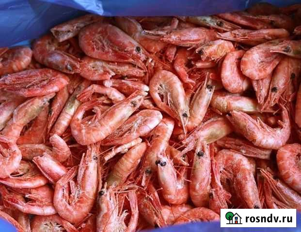 Креветка Сухая заморозка 90+ крупная насыщеная Динская - изображение 1