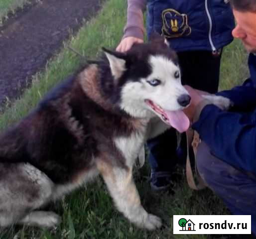 Ищем невесту Уфа - изображение 1