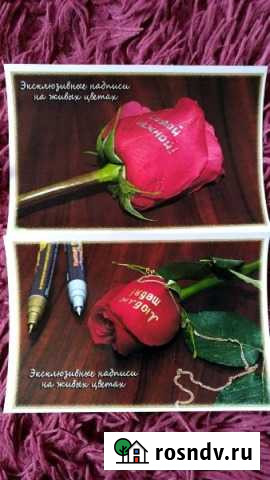 Арт фломастеры Кострома - изображение 1