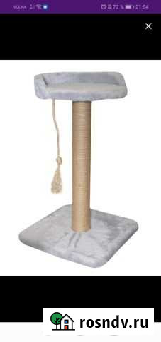 Когтеточка Керчь - изображение 1