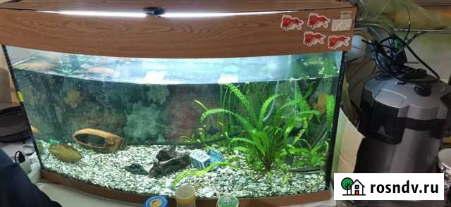 Аквариум Сыктывкар - изображение 1