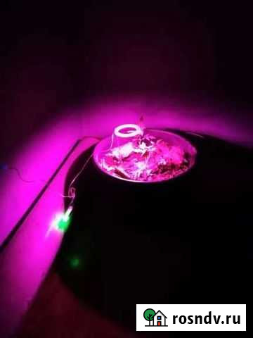 Светильник для растений Рязань - изображение 1