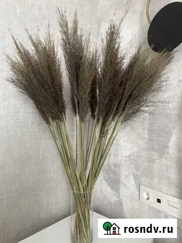 Трава пампасная букет Коммунарка - изображение 1