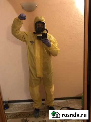 Уничтожение тараканов, клопов, клещей, комаров Приволжский - изображение 1