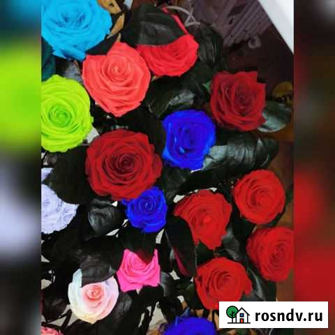 Розы оптом Кемерово - изображение 1