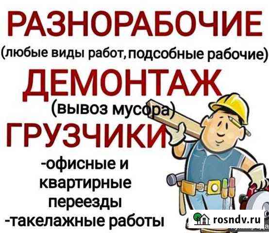 Разнорабочие Всеволожск