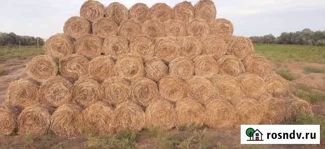 Сено в минирулонах Икряное - изображение 1