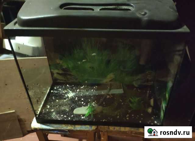 Аквариум Симферополь - изображение 1