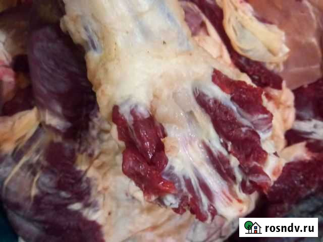 Продам мясо говядина Промышленная - изображение 1