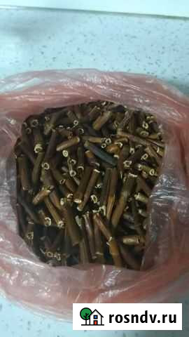 Сабельник корень Обнинск - изображение 1