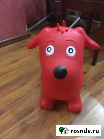 Собака прыгун Саратов - изображение 1