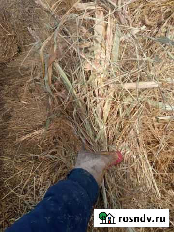 Сенно Прохладный - изображение 1