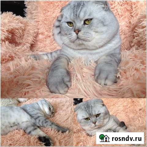 Вязка Волгодонск - изображение 1