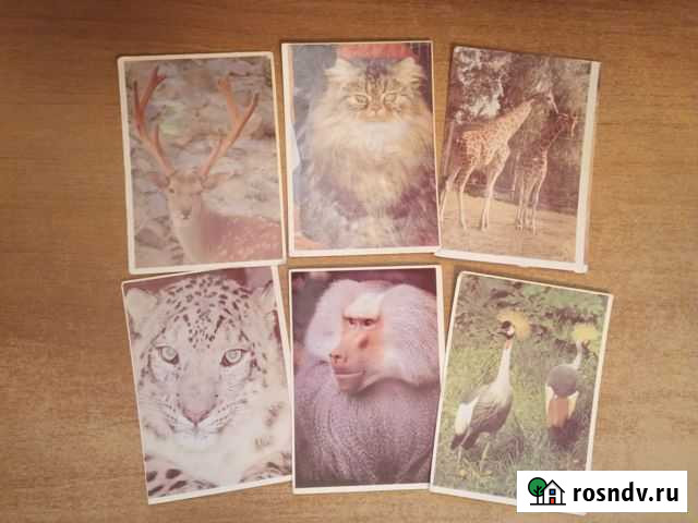 Календарики Екатеринбург - изображение 1