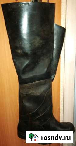 Сапоги (болотные) Гатчина - изображение 1