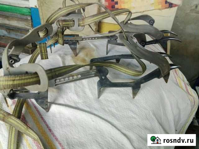 Кошки альпинистские Черкесск - изображение 1