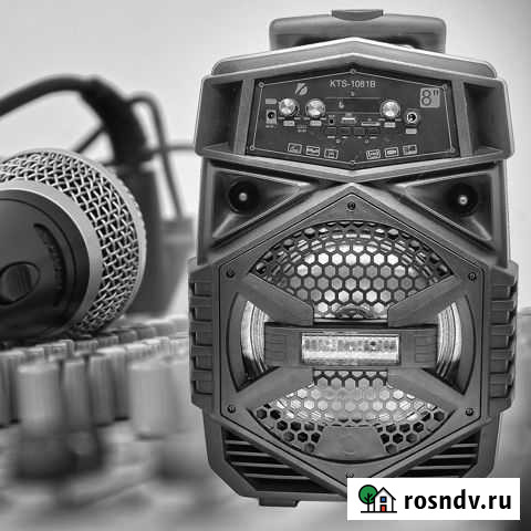 KTS-1081B активная напольная акустика Ижевск - изображение 1