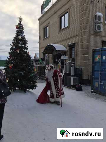 Елка новогодняя, высота 3.5метра Ижевск - изображение 1