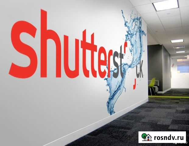 Фото с Shutterstock Брянск - изображение 1