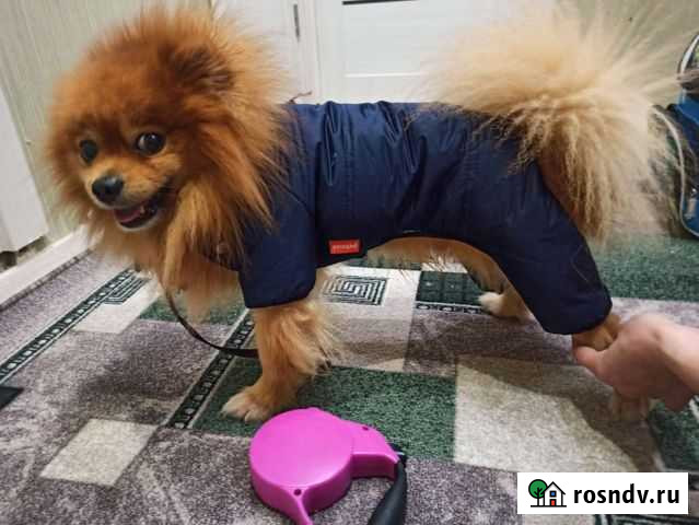 Продам костюм) Владимир - изображение 1