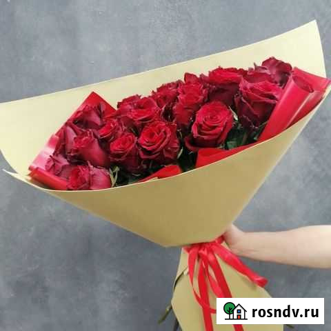 Роза Вологда - изображение 1