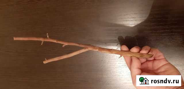 Коряга в аквариум Сызрань - изображение 1