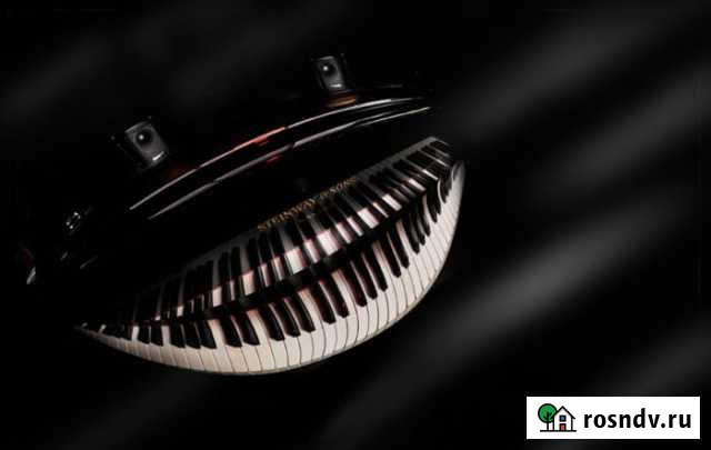 Обучение игре на фортепиано Липецк - изображение 1