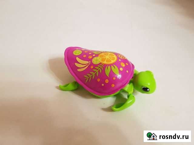 Черепаха плавает и ползает Вологда - изображение 1