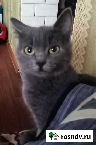 Нежнейшая Лялечка, пушочек и снежинка Симферополь - изображение 1