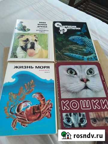 Продам открытки с описанием кошки, наши верные дру Саратов - изображение 1