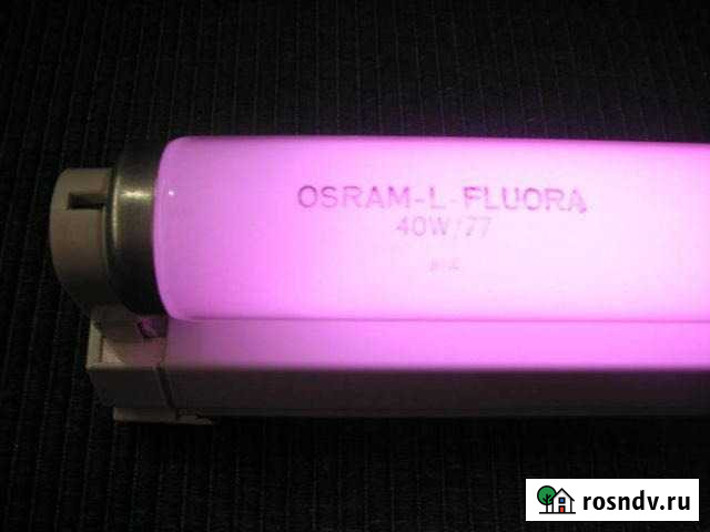 Люминесцентная лампа Osram Flora 36 w Красноярск - изображение 1