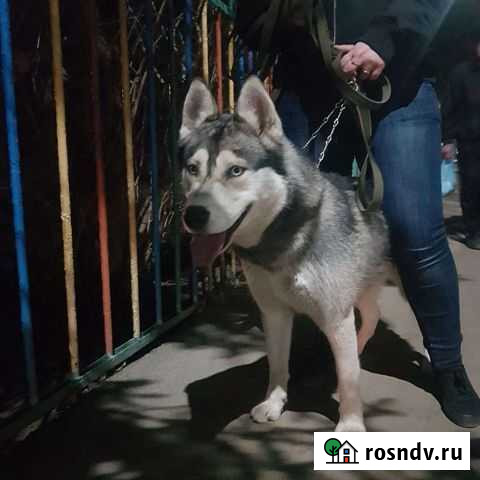 Вязка Армавир - изображение 1