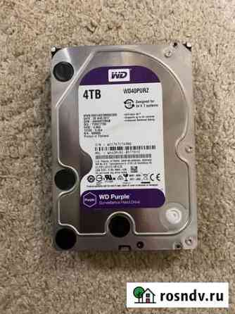 Wd purple 4 tb Тверь