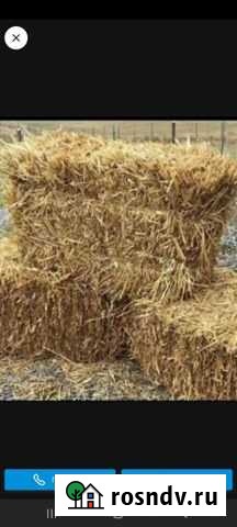 Солома в тюках Усиша - изображение 1