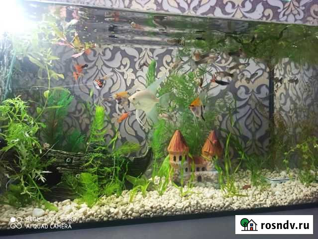 Продам аквариум 70л Севастополь - изображение 1