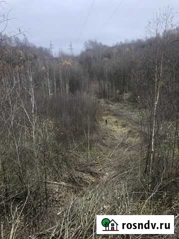 Расчистка,расширение лэп,участков от Великий Новгород - изображение 1