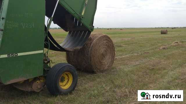 Продам сено в рулонах Белый Яр - изображение 1