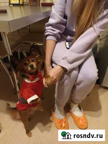 Вязка Самара - изображение 1