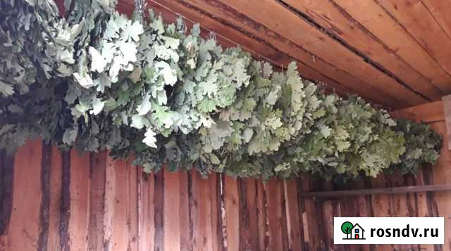 Веники Березовые Чилижные Тоцкое - изображение 1