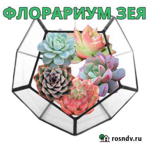 Флорариум Зея