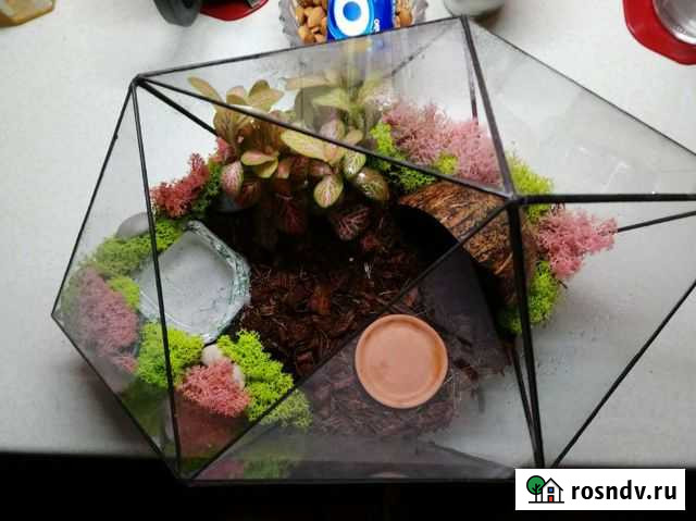 Террариум-Флорариум Ярославль - изображение 1