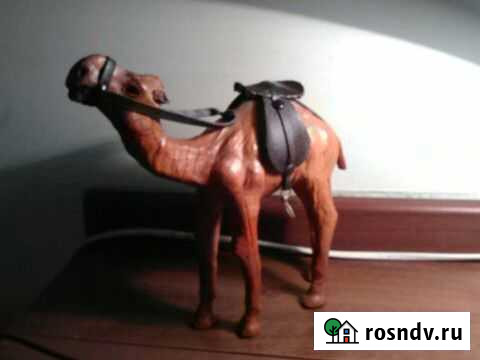 Верблюд сувенир Калининград - изображение 1