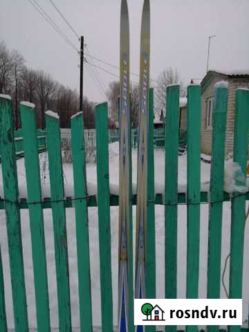 Беговые лыжи Скопин - изображение 1